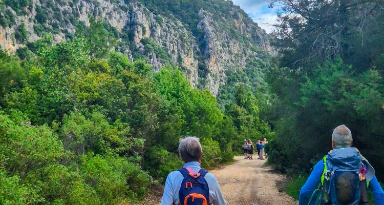 Hikers walk a dirt trail through lush green shrubs with towering limestone cliffs rising on one side.