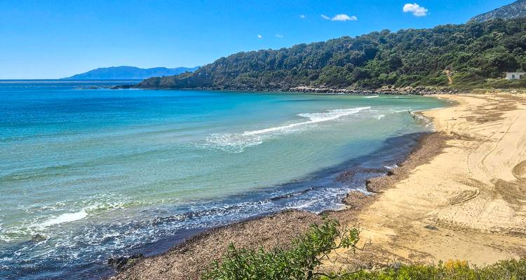 Turquoise bay bordered by golden sand and forested headlands on a bright summer day.