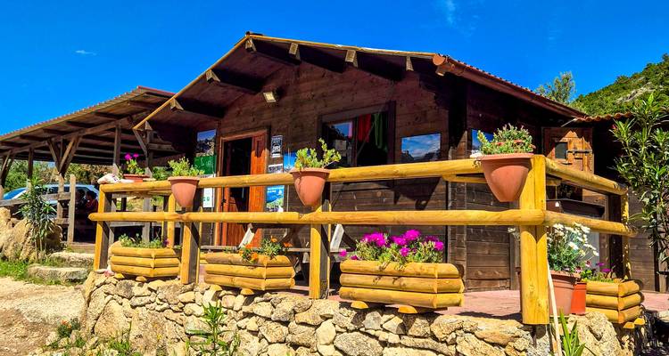 Charming rustic wooden lodge with flower-filled planters and bright blue sky overhead.