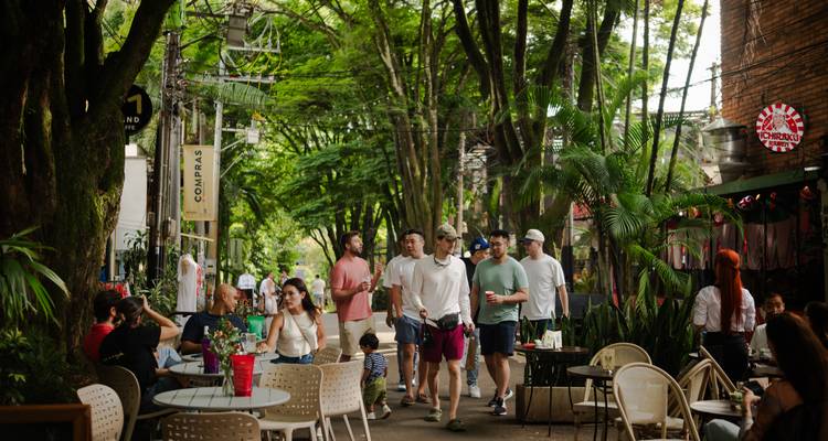 Shaded boulevard lined with cafés and lush trees where tourists stroll and sit at tables.