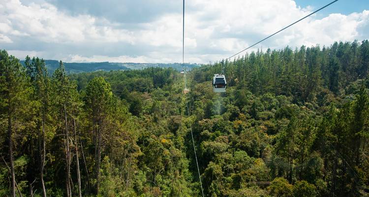 Téléphérique glissant au-dessus de collines boisées d'un vert dense par une journée claire près de Medellín.
