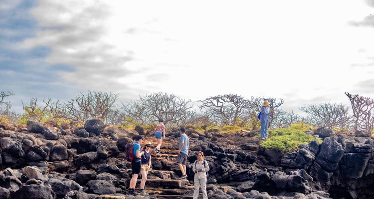 Small group of hikers ascend rocky volcanic steps surrounded by stark lava landscape and leafless shrubs