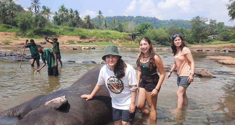 Gente bañando un elefante en el río.