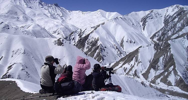 In Search of the Snow Leopard - Exodus Travels