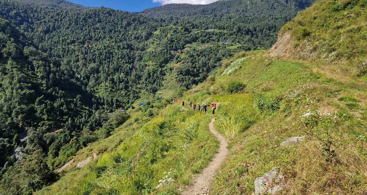 Eine Gruppe von Trekkern folgt einem schmalen Bergpfad durch üppig grüne Vegetation.