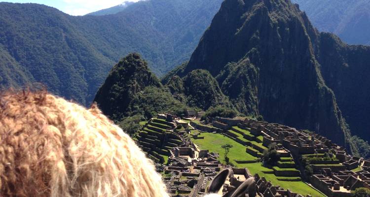 Vue du Machu Picchu avec les terrasses verdoyantes et les montagnes environnantes.