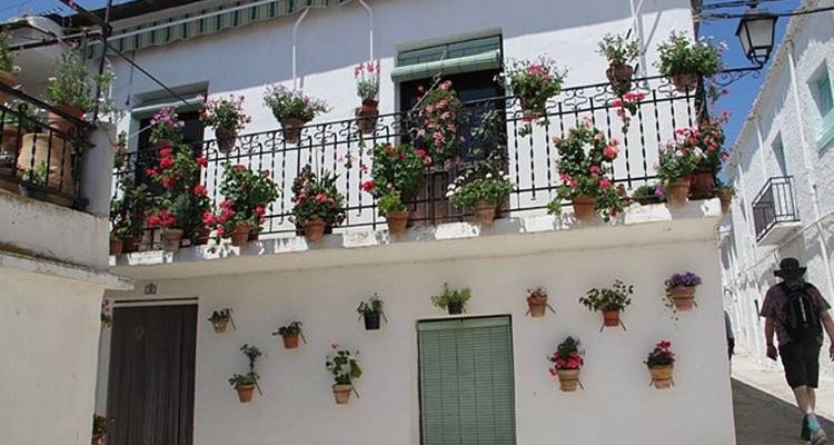 Sierra Nevada & Granada - Exodus Travels