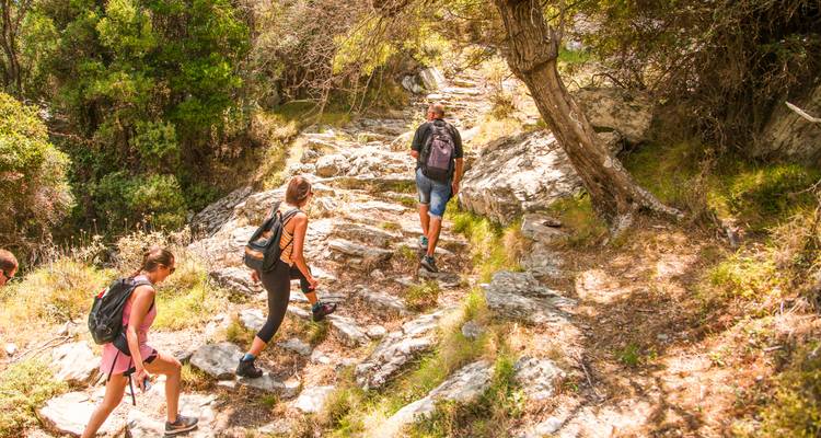 Grupo de excursionistas caminando por un sendero rocoso rodeado de naturaleza