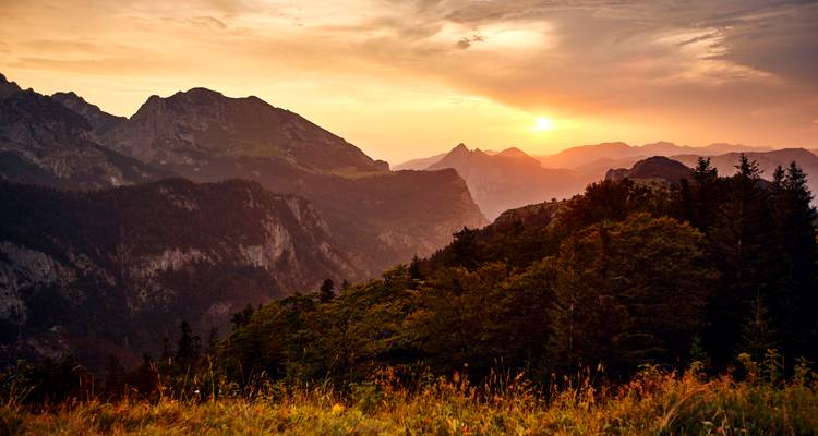 Ein feuriger Sonnenuntergang senkt sich hinter gestaffelten Bergrücken und dunklen Nadelwäldern.