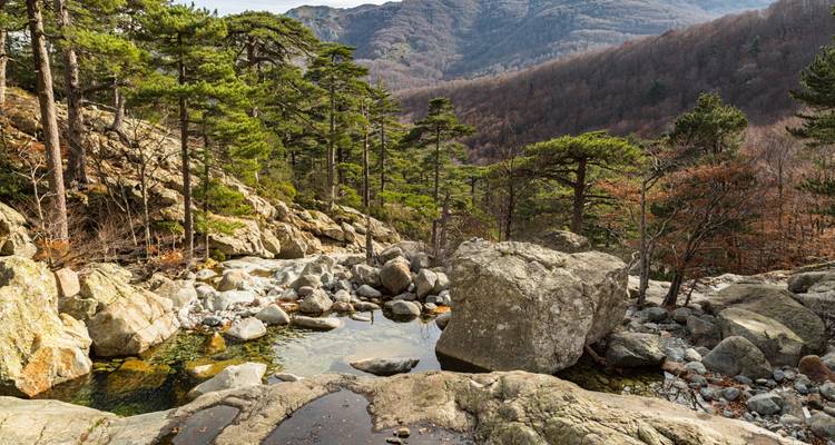 Arroyo rocoso con pozas cristalinas rodeadas de pinos en una ladera montañosa en otoño