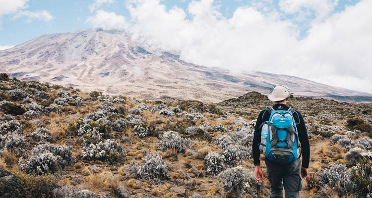 Een eenzame trekker met een blauwe rugzak kijkt uit over alpine struikgewas naar de roige, sneeuwvlekkerige hellingen van de Mount Kilimanjaro onder wolkige hemel.