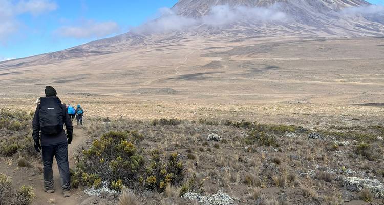 Trekkers volgen een stoffig pad over Kilimanjaro's hoog plateau naar de uitstekende vulkaankegel die gedeeltelijk verscholen is achter wolken.