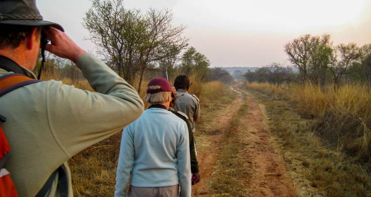 Kleine groep loopt over een stoffig pad tijdens een vroege ochtendwandeling op safari.