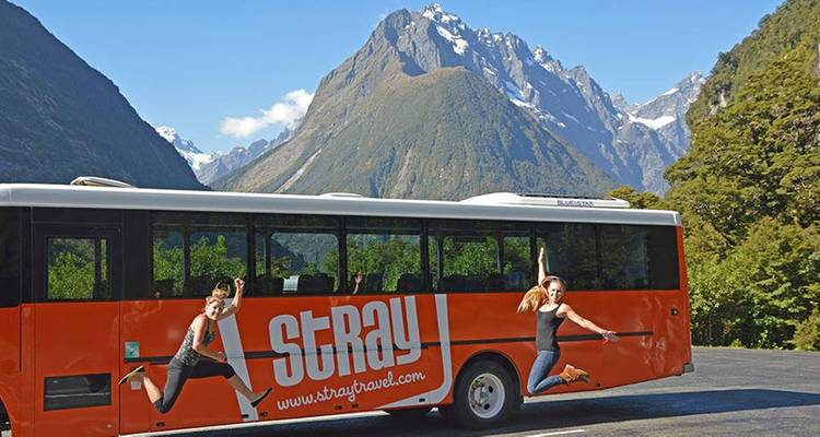 Stray - Ron Pass (South Island) - Stray Travel