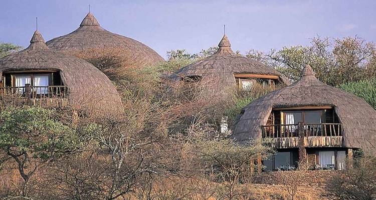Unique round huts in a bushland setting with lush vegetation.
