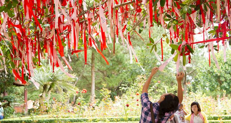 3 days Exploring The City of The Flowers - Hoi An Express