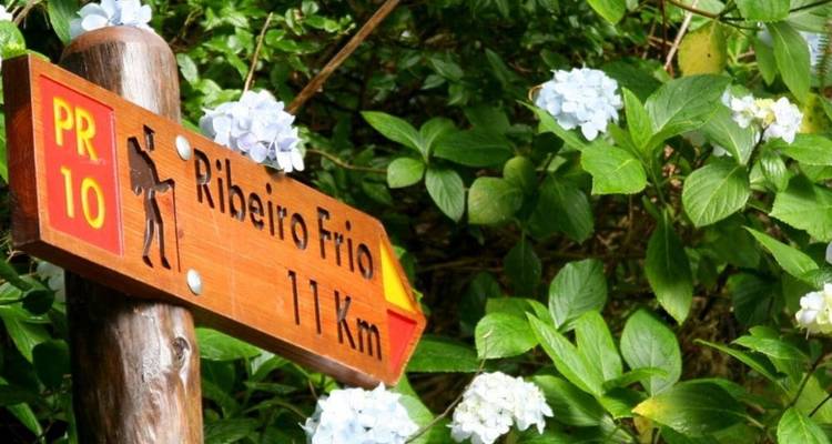 Panneau en bois sur un sentier dans une zone avec une végétation luxuriante et des fleurs.