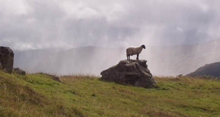 Isle of Skye Discovery - Walkabout Scotland