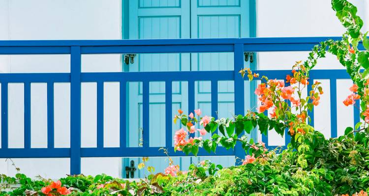 Gros plan de fleurs colorées et d'une rambarde bleue.