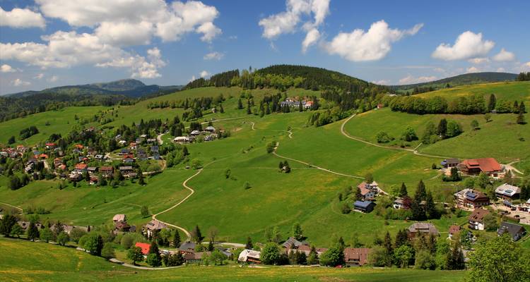 Prairies verdoyantes vallonnées panoramiques et villages épars dans la Forêt-Noire sous un ciel bleu éclatant.