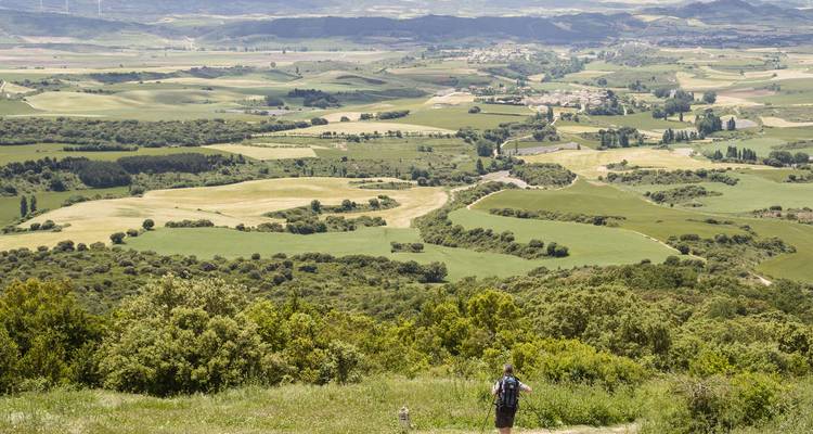 Una persona caminando por un paisaje verde con campos extensos y colinas al fondo.