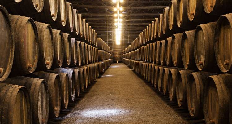 Endless rows of wooden wine barrels line a dimly lit cellar corridor.