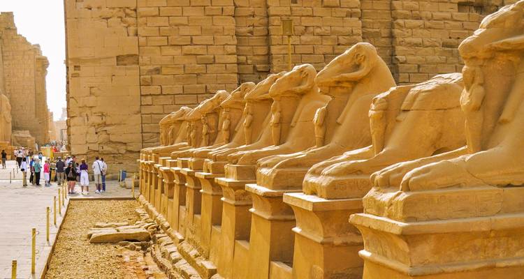 Una fila de estatuas antiguas de esfinges en un sitio arqueológico.