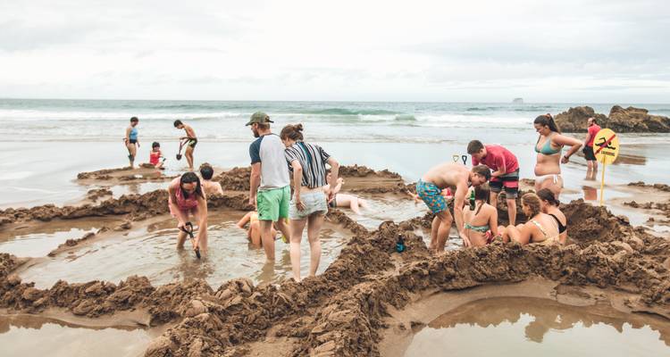 Des gens profitant d'une plage chaude avec des bassins d'eau.