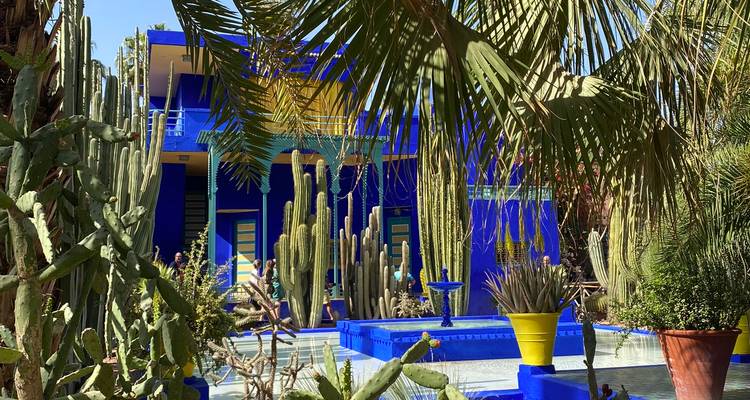 Levendige kobaltblauwe binnenplaats van Jardin Majorelle versierd met hoge cactussen en een betegelde fontein.