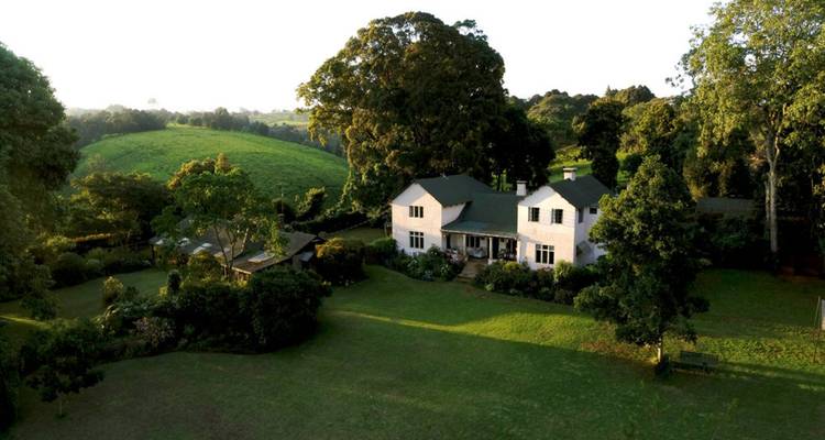 Una vista aérea de una casa rodeada de exuberante vegetación