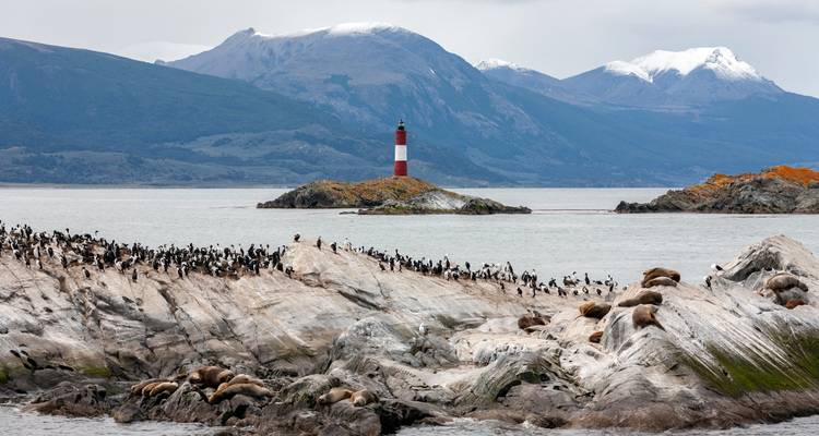 Vue panoramique d'îles rocheuses avec des oiseaux et un phare au loin.