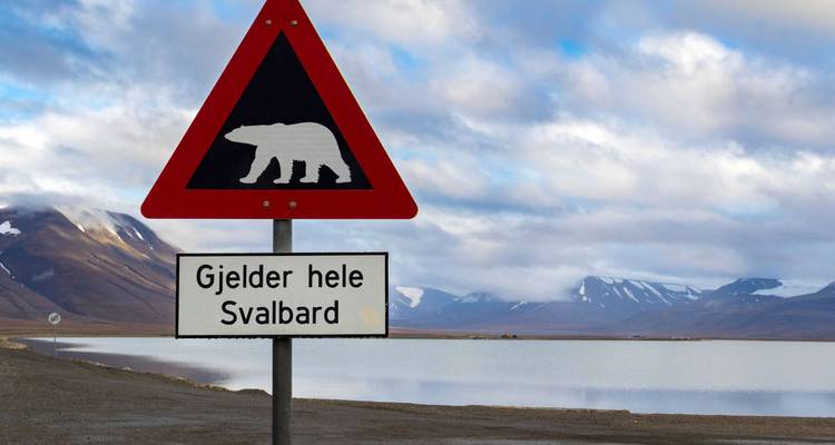 Triangular polar-bear road sign and text sign warning for all of Svalbard with snowy mountains and fjord backdrop.