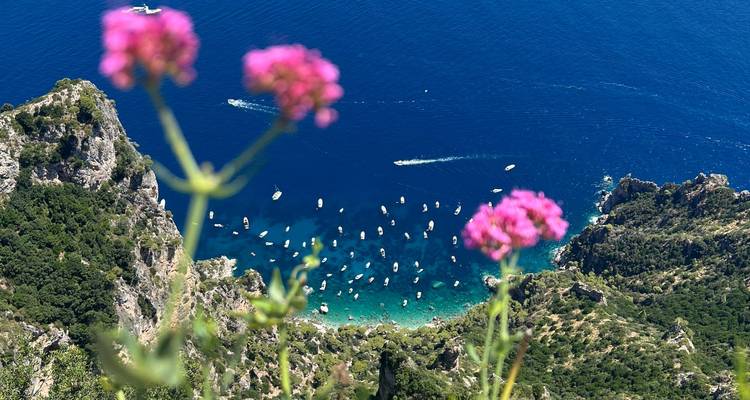 Vista del mar Mediterráneo con flores en primer plano.