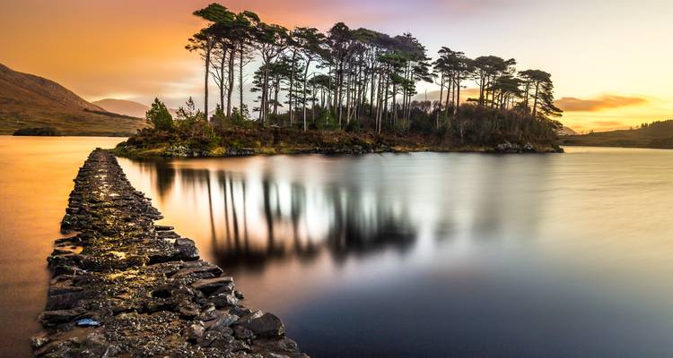 Pine trees on a small island reflecting in a calm body of water at sunset.