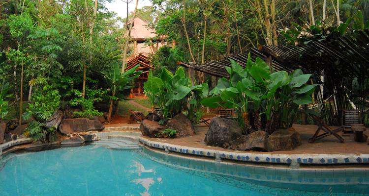 Piscina con exuberante vegetación de fondo.