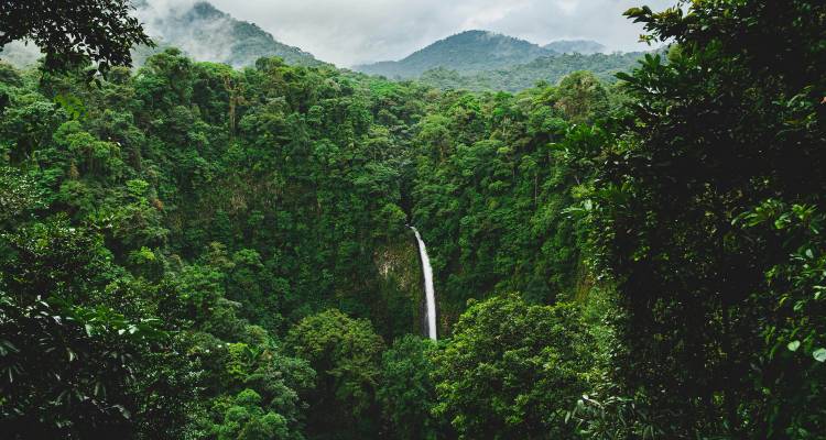 Une cascade époustouflante dévalant à travers des montagnes boisées d'un vert luxuriant.