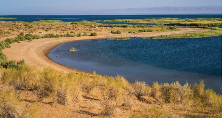 Une vue panoramique d'une plage avec de la verdure et des collines ondulantes.