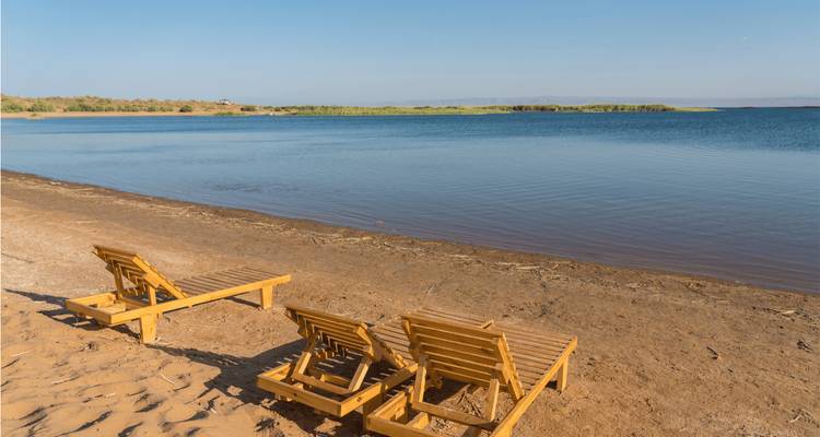 Plage avec plusieurs chaises longues en bois alignées.