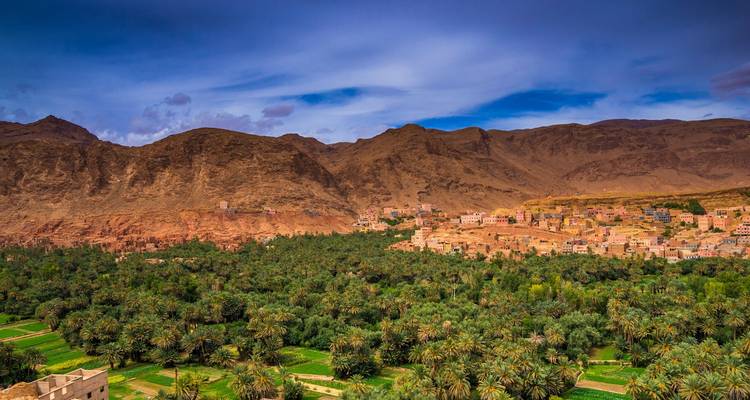 Lush oasis with palm trees and desert mountains in the background.