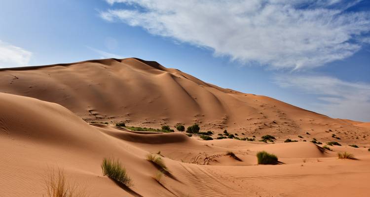 Smooth golden sand dunes rising beneath a bright blue sky with wispy clouds.