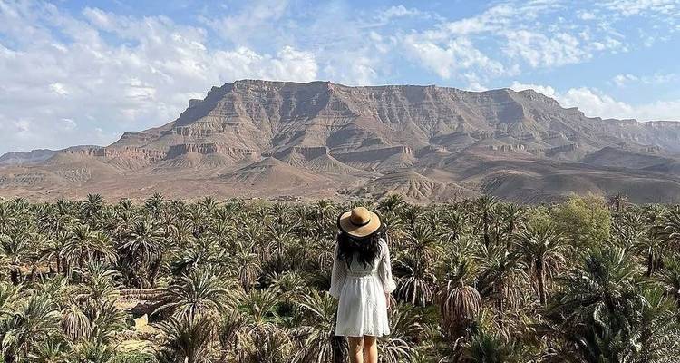 Femme regardant par-dessus les palmiers vers un paysage de montagne en arrière-plan