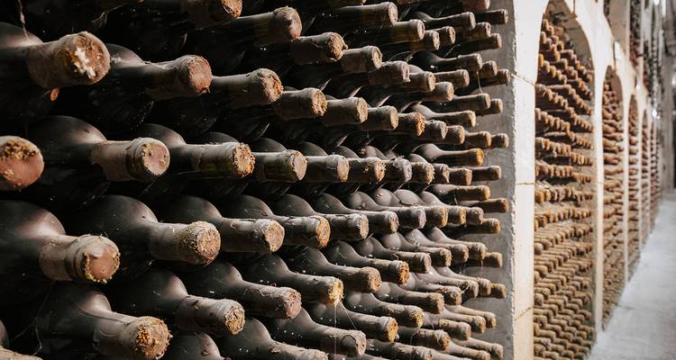 Rangée de bouteilles de vin dans une cave.