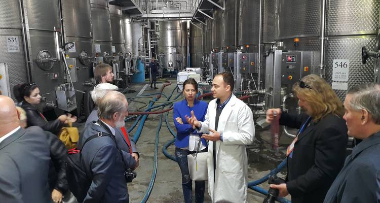 Visite de groupe dans une cave ou une usine.