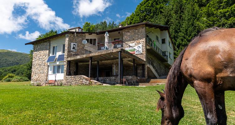 Maison moderne avec un cheval broutant à proximité sur l'herbe verte.
