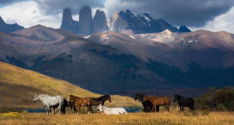 Caballos pastando en un valle con montañas dramáticas al fondo.