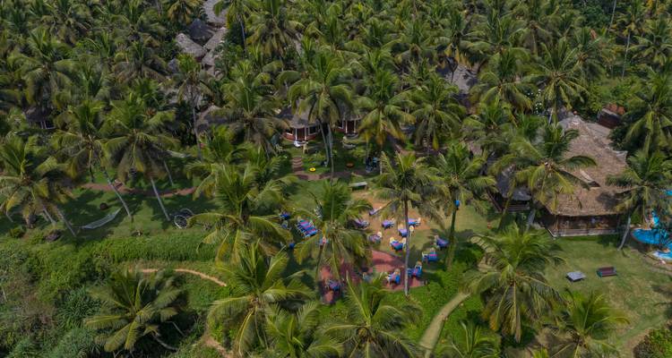 Vue aérienne d'un complexe hôtelier tropical entouré de palmiers.