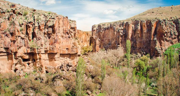Steile felsige Canyonwände und spärliche Bäume des Ihlara-Tals unter einem hellen Himmel.