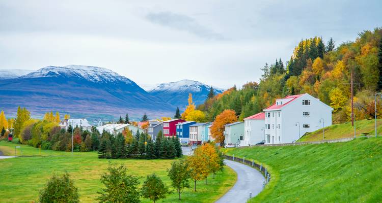 Rue de banlieue tranquille avec des maisons colorées et des arbres d'automne sur fond de montagnes aux sommets enneigés.