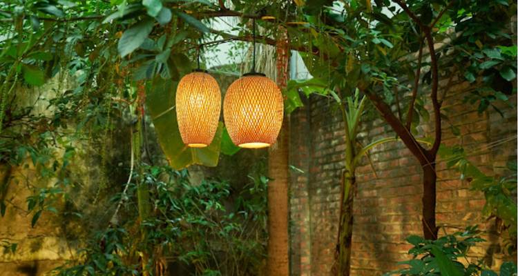 Escena de la naturaleza con luces decorativas colgantes.