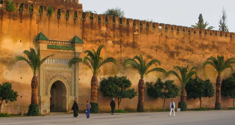 La larga pared con palmeras y portón en la ciudad con gente caminando.